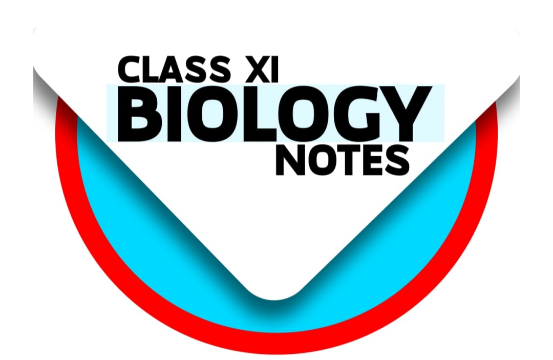 Class 11 Biology Notes 
