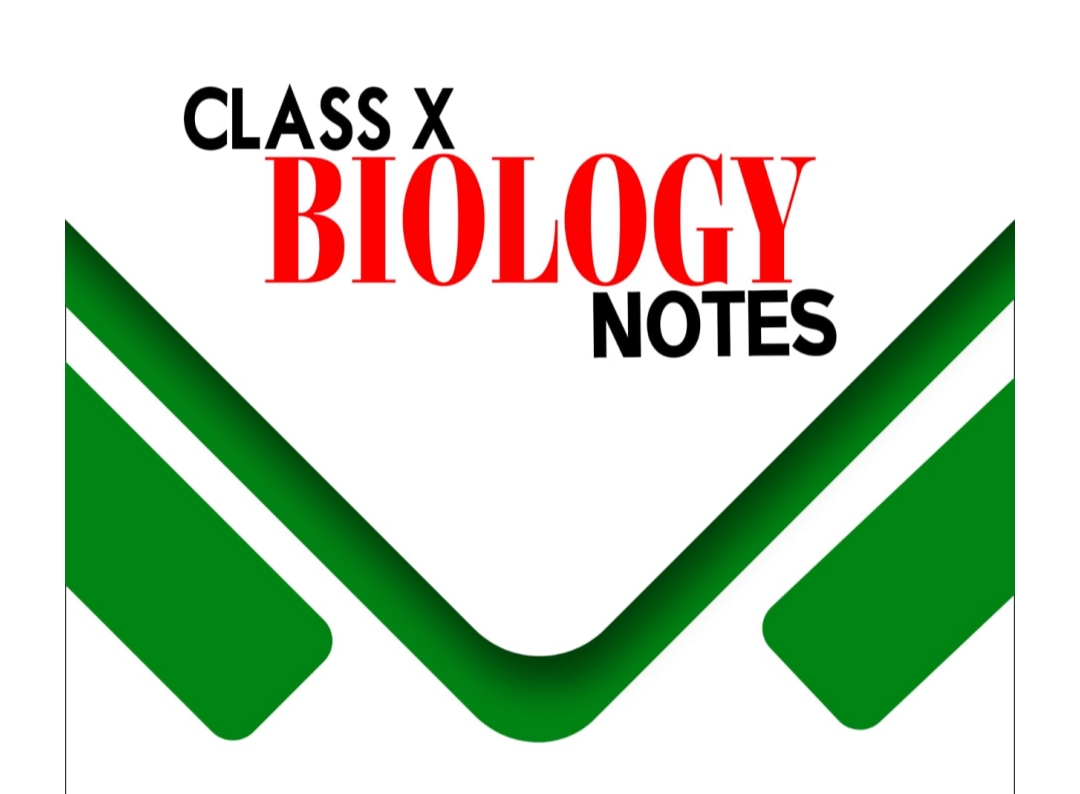 Class 10 Biology notes