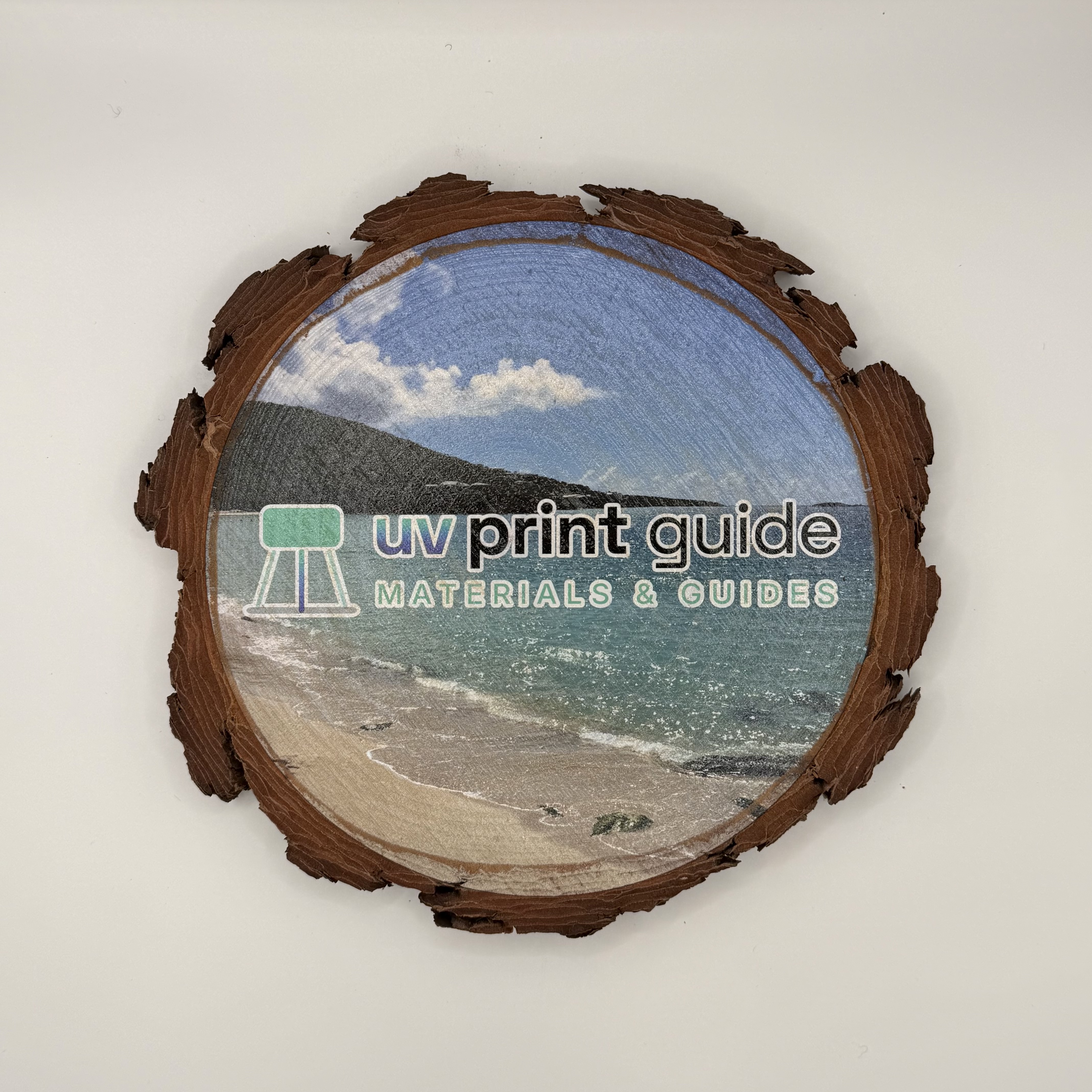 Unfinished Natural Wood Slices Large (10-Pack, Round)