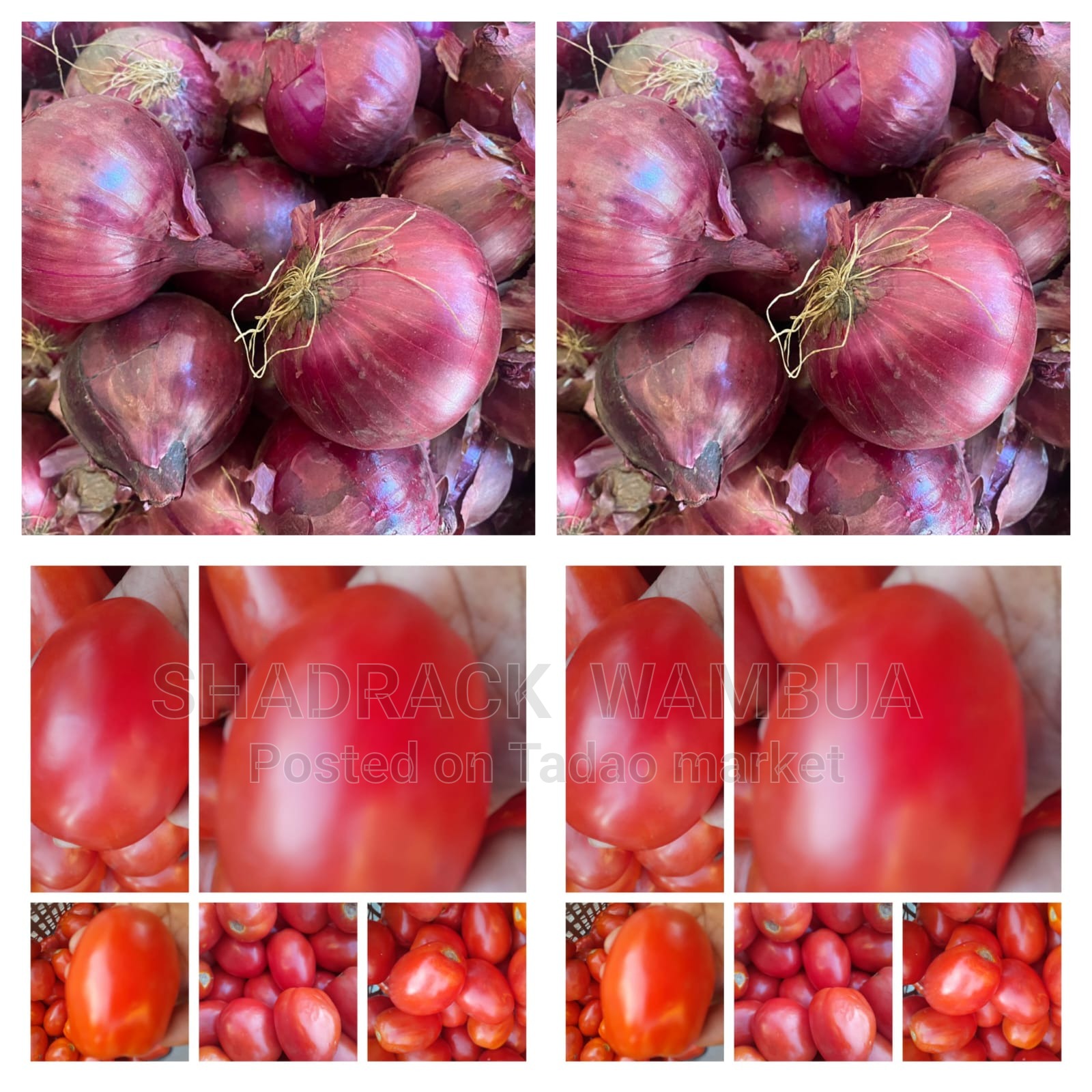 Tomatoes and onions 2