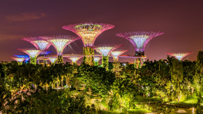 Top 10 Things to Do in Singapore With Tripkaro