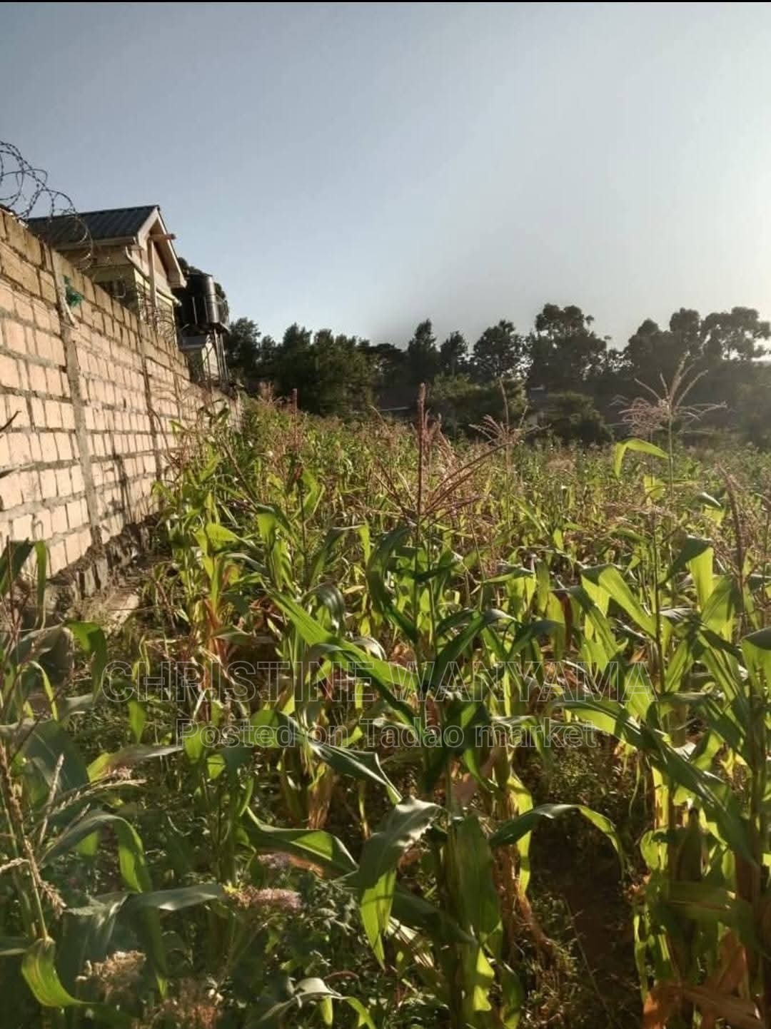 Prime residential land for sale 4