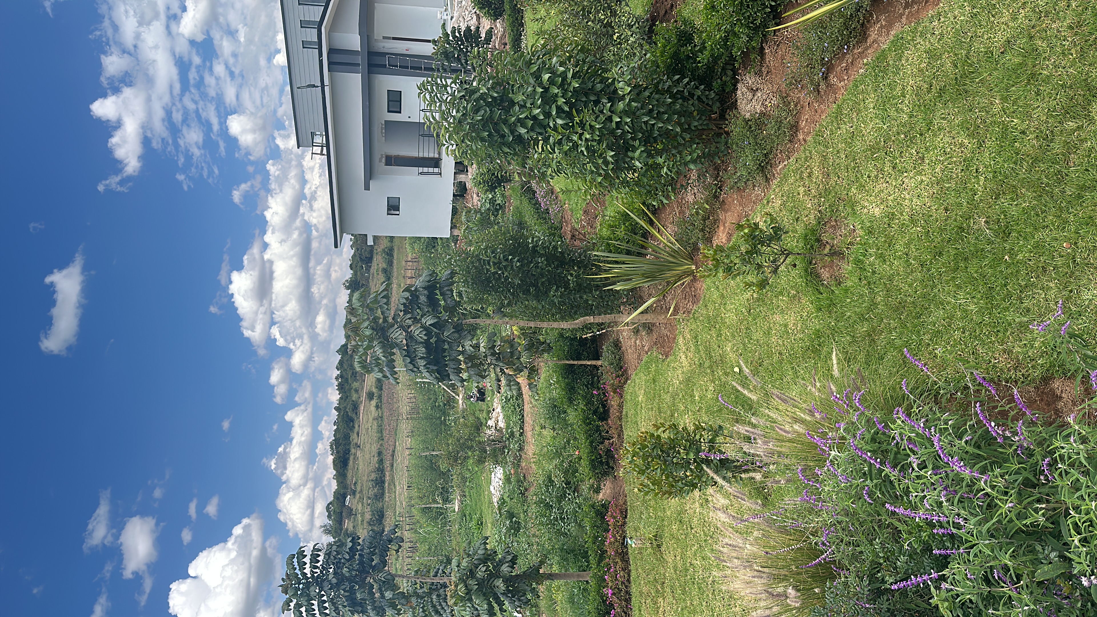 Tufaha Resort - Nanyuki ๐ - photo 5