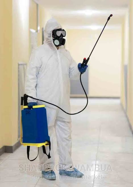 Zaha cleaning and fumigation services 3