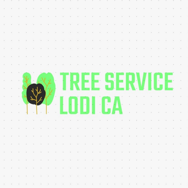 Lodi Tree Service Pros