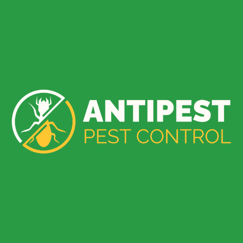 Antipest Pest Control Services logo