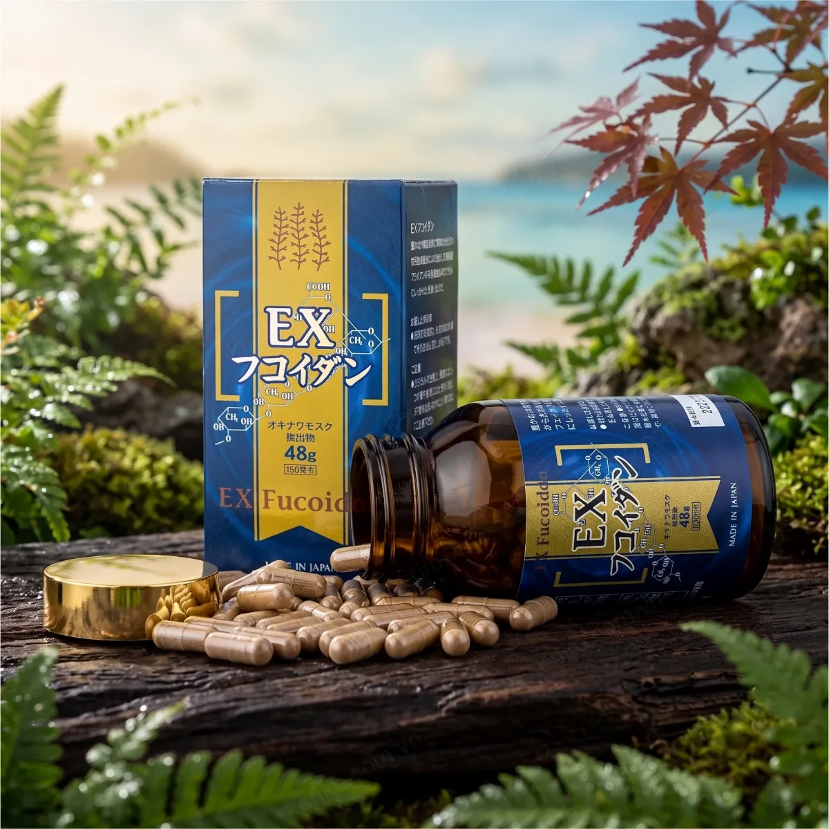 Fucoidan EX 150 viên - Hình ảnh 2