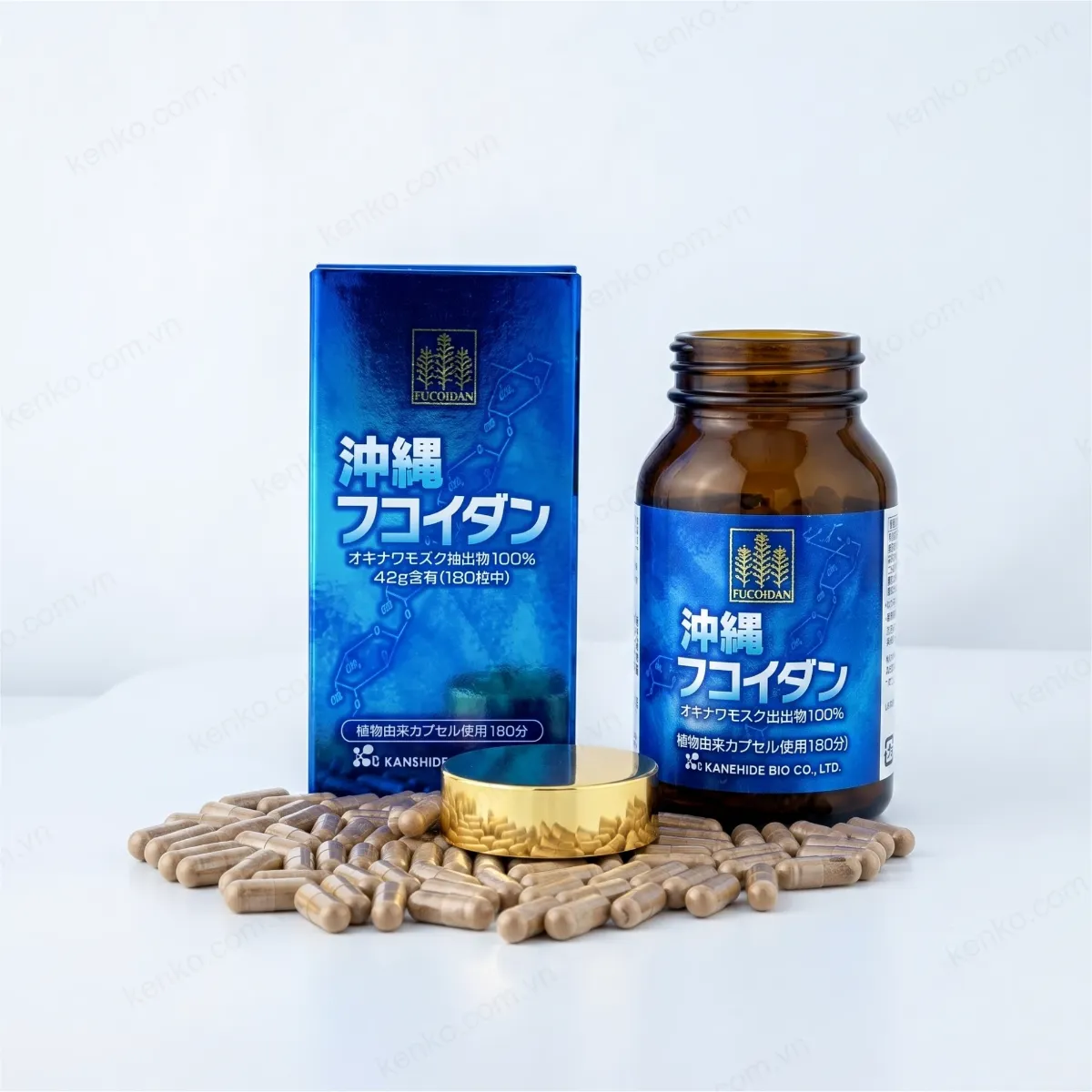 Fucoidan Okinawa 180 viên (Fucoidan Xanh) - Hàng Xuất Khẩu - Hình ảnh 3