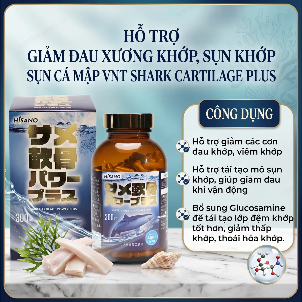 Viên uống sụn vi cá mập VNT Shark Cartilage Power Plus 300 viên - Hình ảnh 3