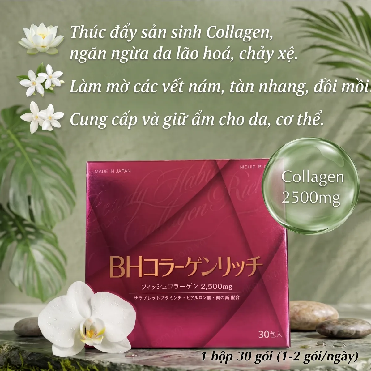Bột uống Beautiful Habit Collagen Rich 30 gói - Hình ảnh 5