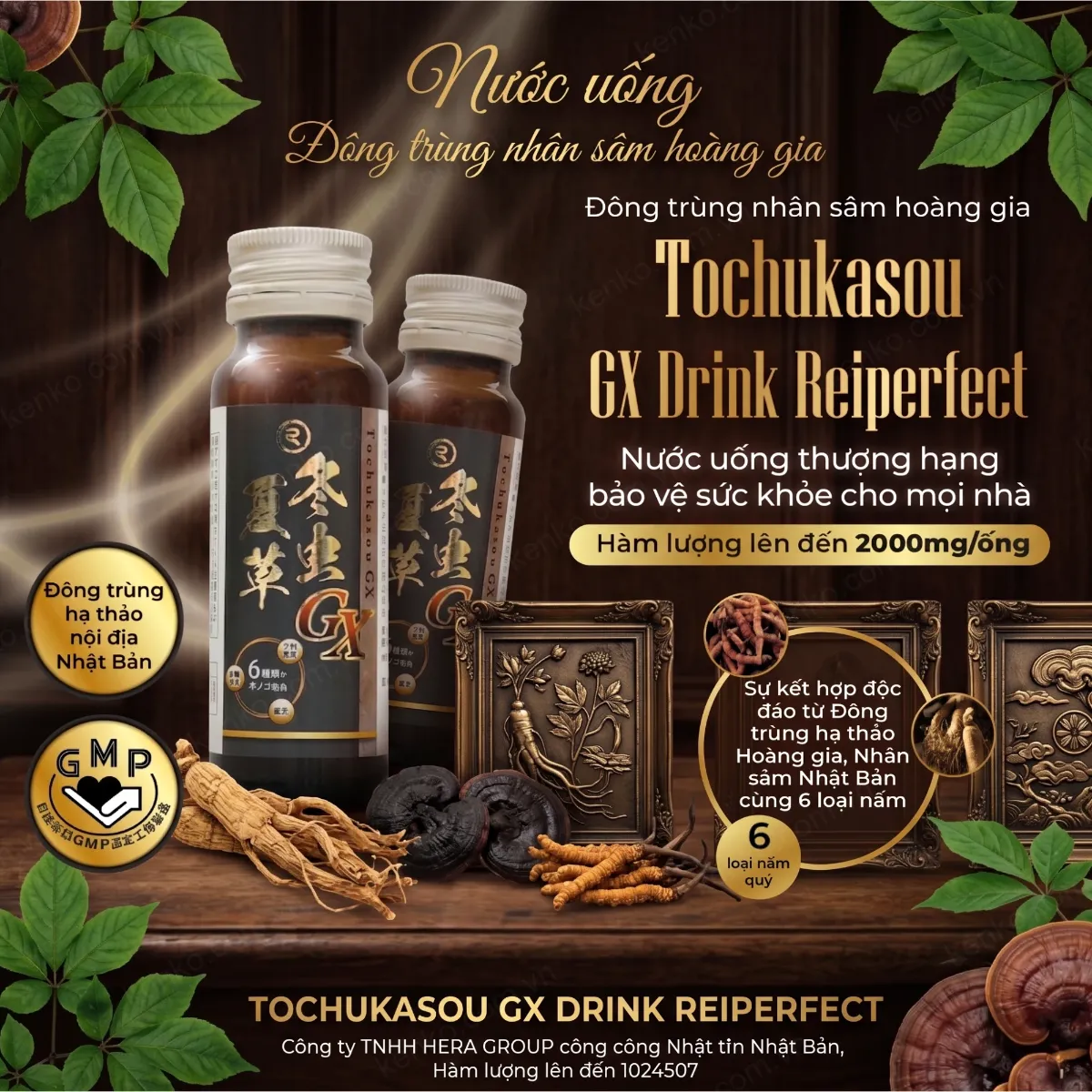Nước Uống Đông Trùng Hạ Thảo Tochukasou GX Drink Reiperfect - Hình ảnh 2