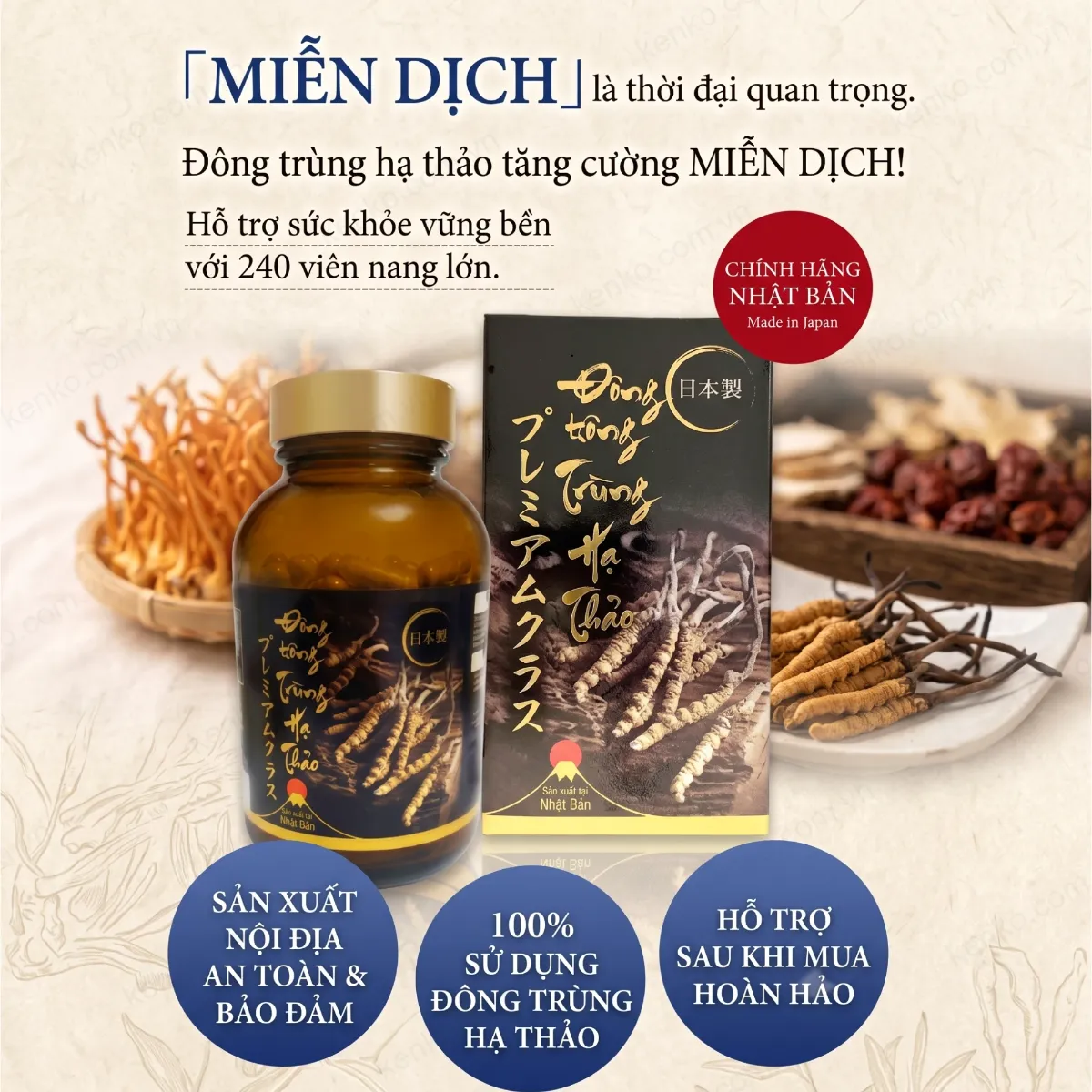 Đông Trùng Hạ Thảo Premium Cao Cấp 240V - HISANO - Hình ảnh 4