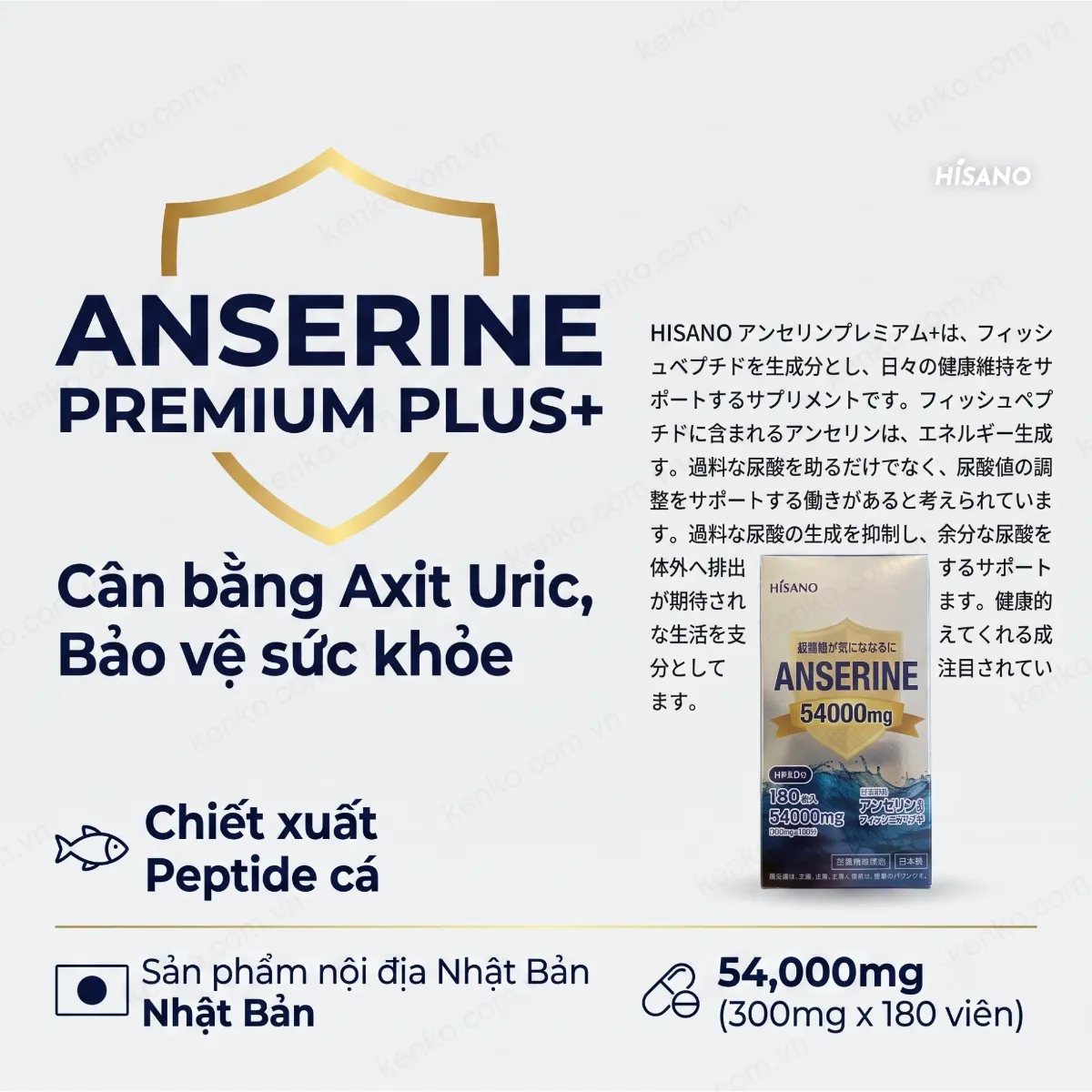 HISANO Anserine Premium+ hỗ trợ điều trị GOUT - Hình ảnh 4