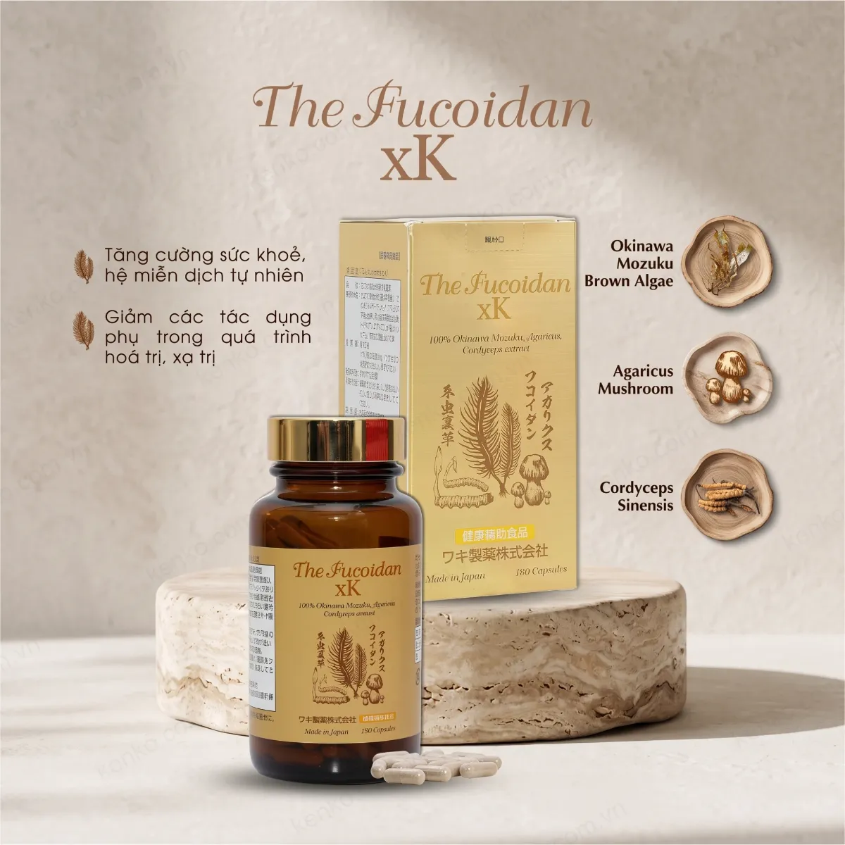 The Fucoidan xK (180 viên) - Hình ảnh 2