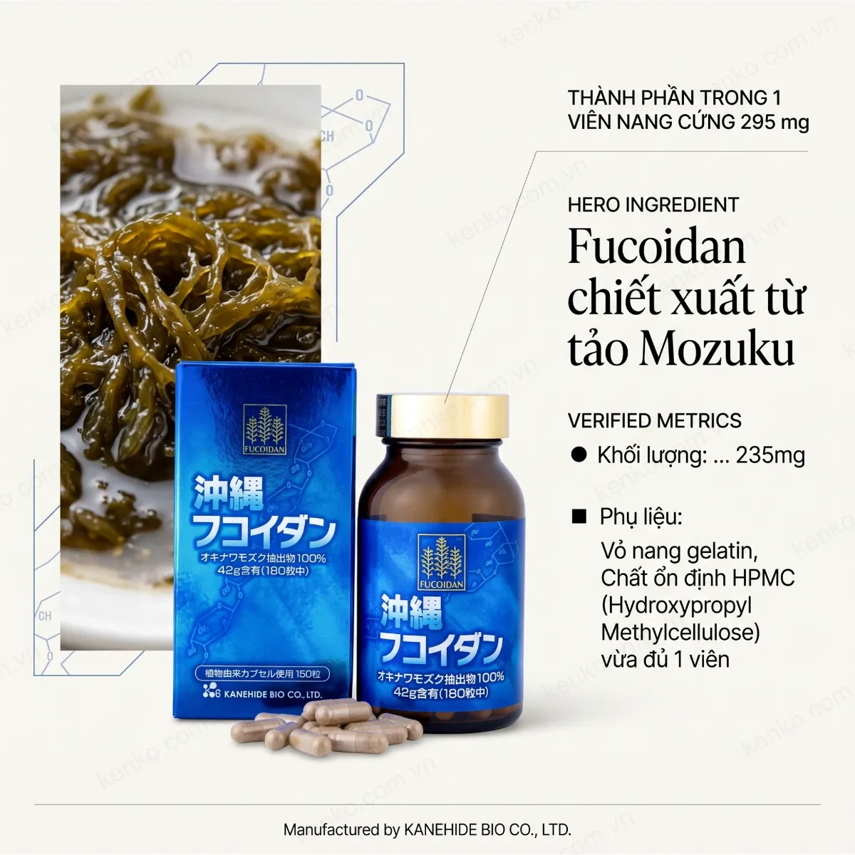 Fucoidan Okinawa 180 viên (Fucoidan Xanh) - Hàng Xuất Khẩu - Hình ảnh 5