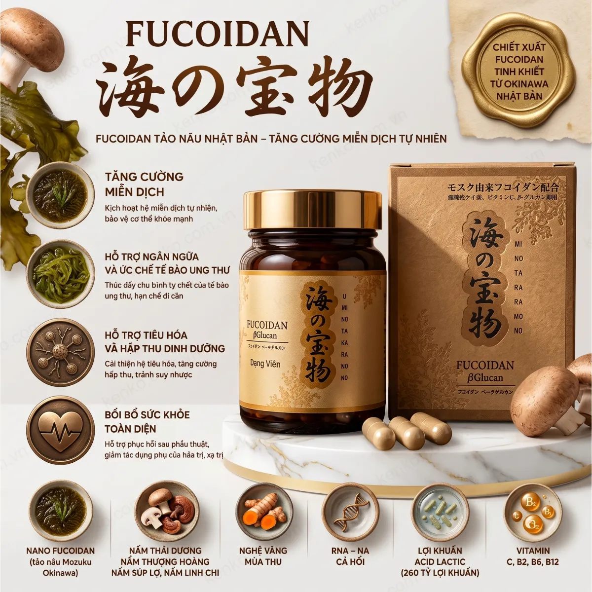 Fucoidan Umino Takaramono 130 viên - Hình ảnh 3