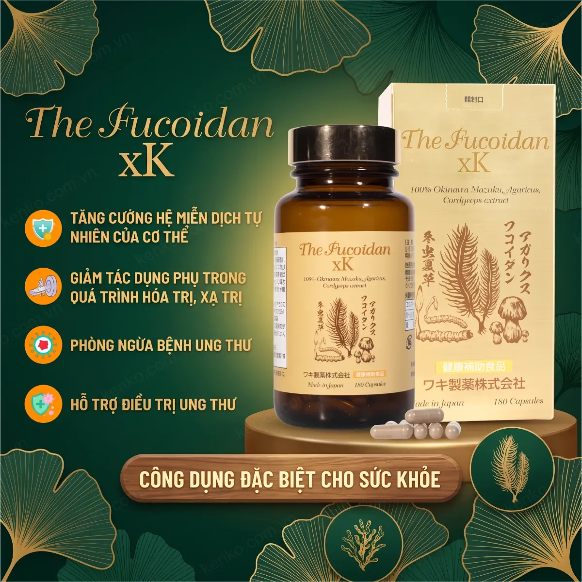 The Fucoidan xK (180 viên) - Hình ảnh 3