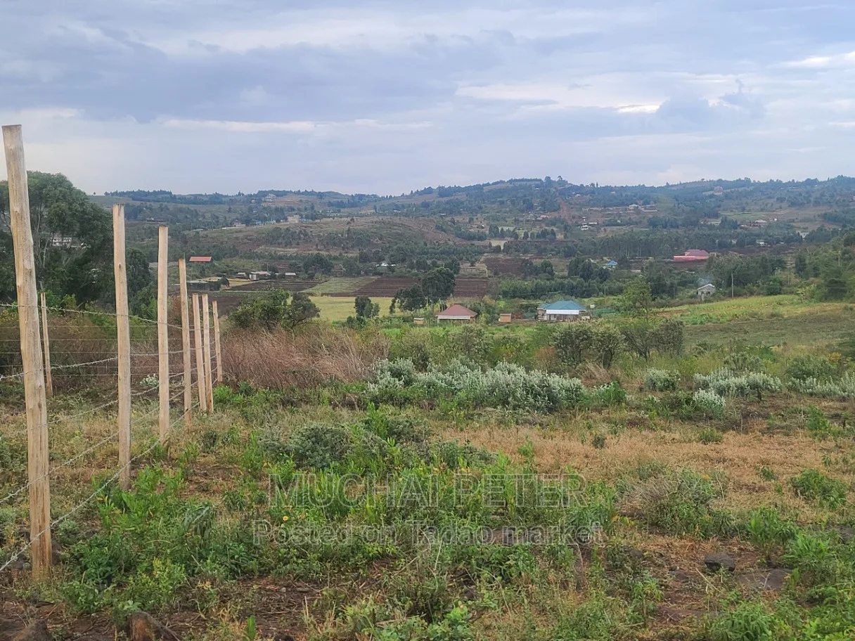 Kamangù, Ndigù-inì - Prime Plot 3