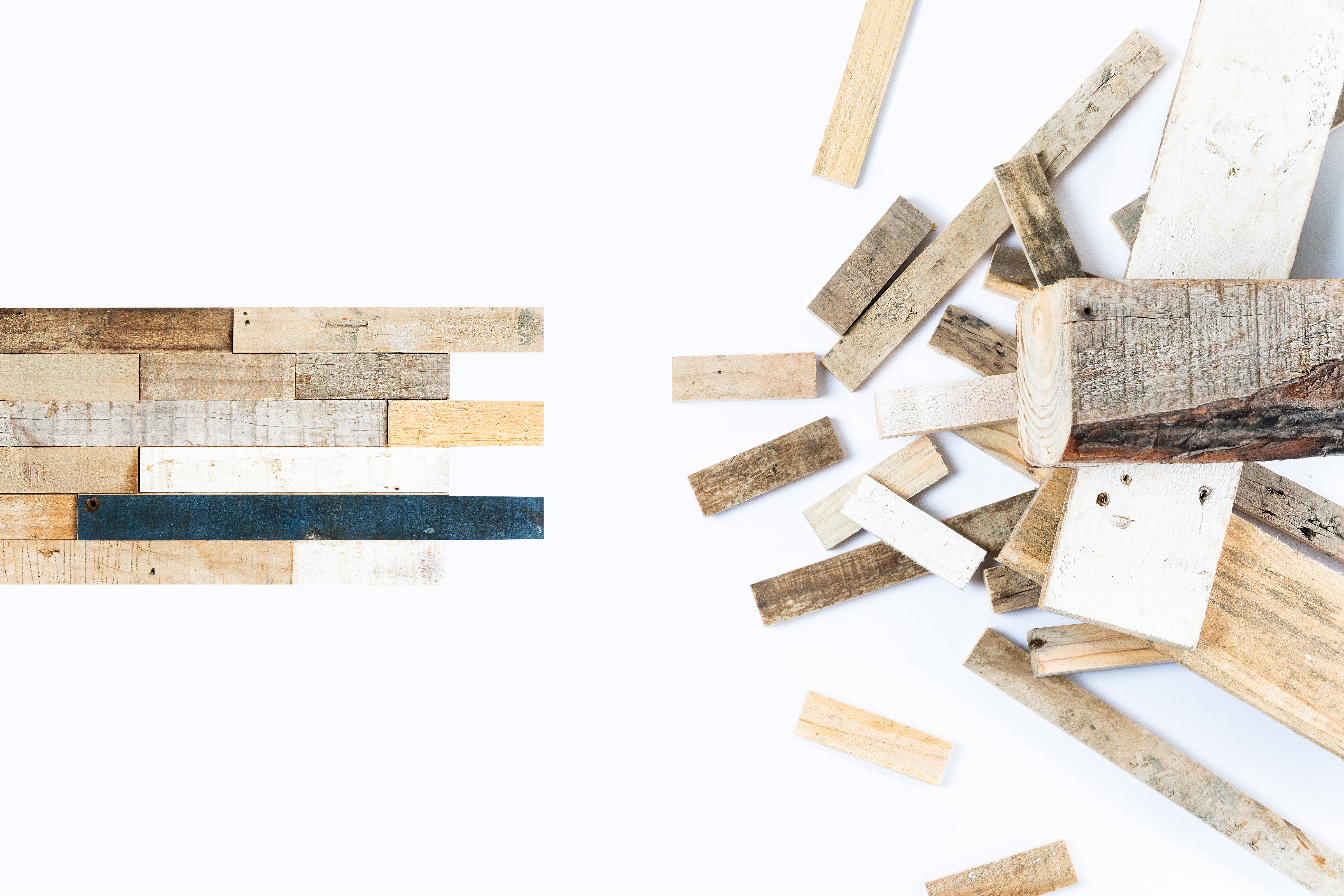 reviste's background