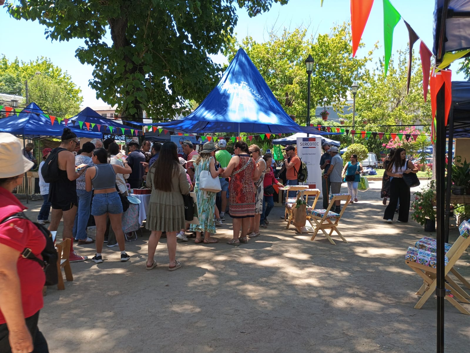 Ecoferia del Maule's background