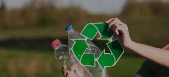 Fundación Regenerar's background