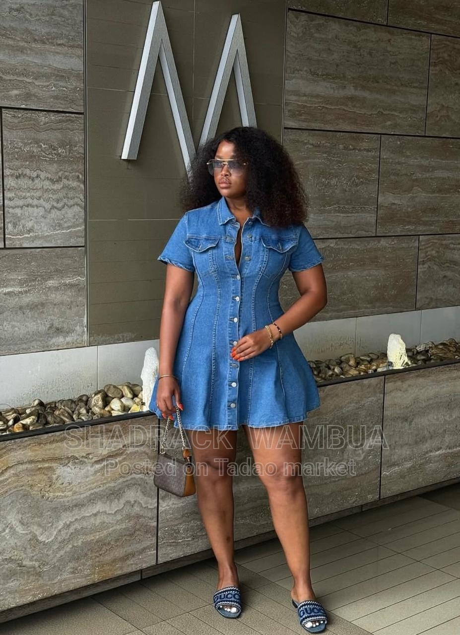 Classic denim dress 3