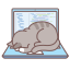 ArrayCat logo