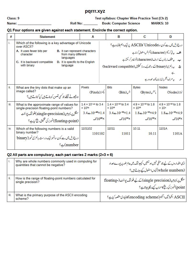 First page of 9th Computer Science – Chapter 2 – Data Representation – Chapter Wise Practice Test, 10 marks (English + Urdu)