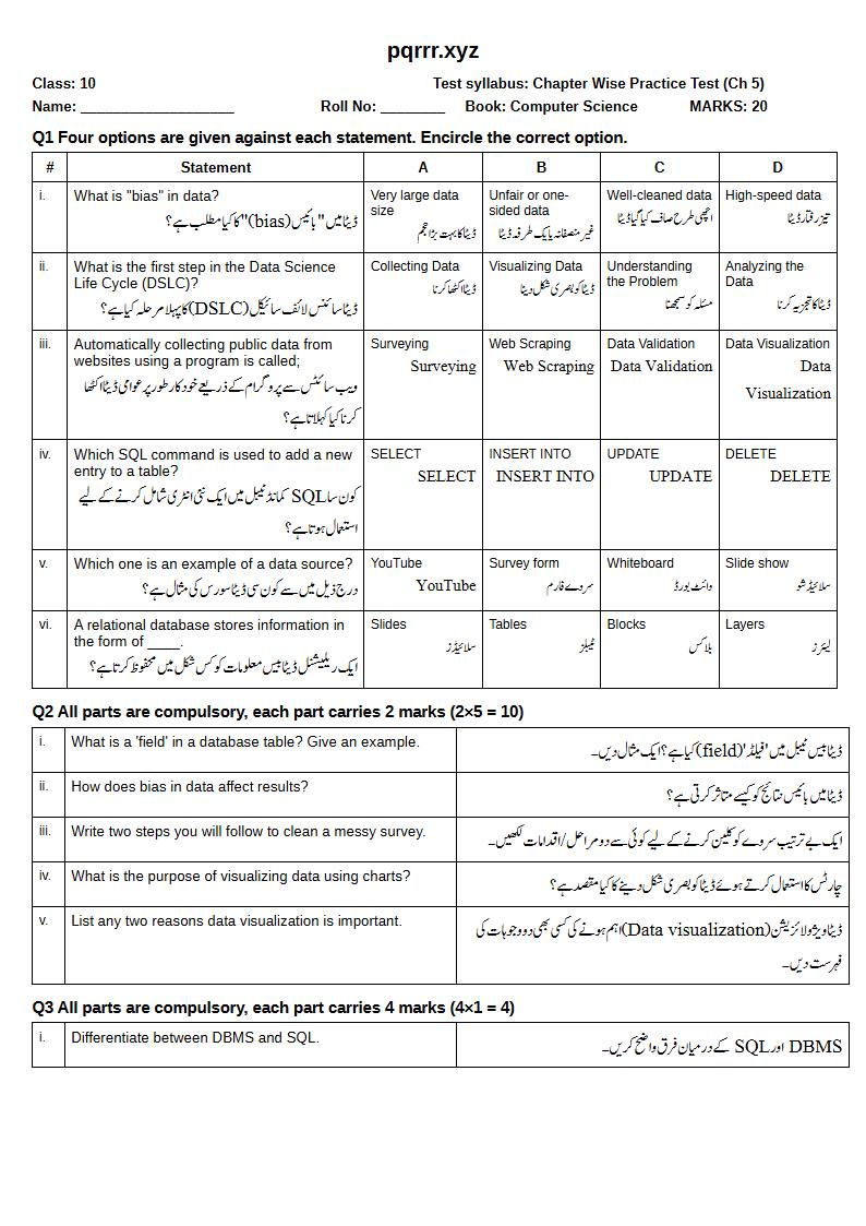 First page of 10th Computer Science – Chapter 5 – Introduction to Data Science – Chapter Wise Practice Test, 20 marks (English + Urdu)