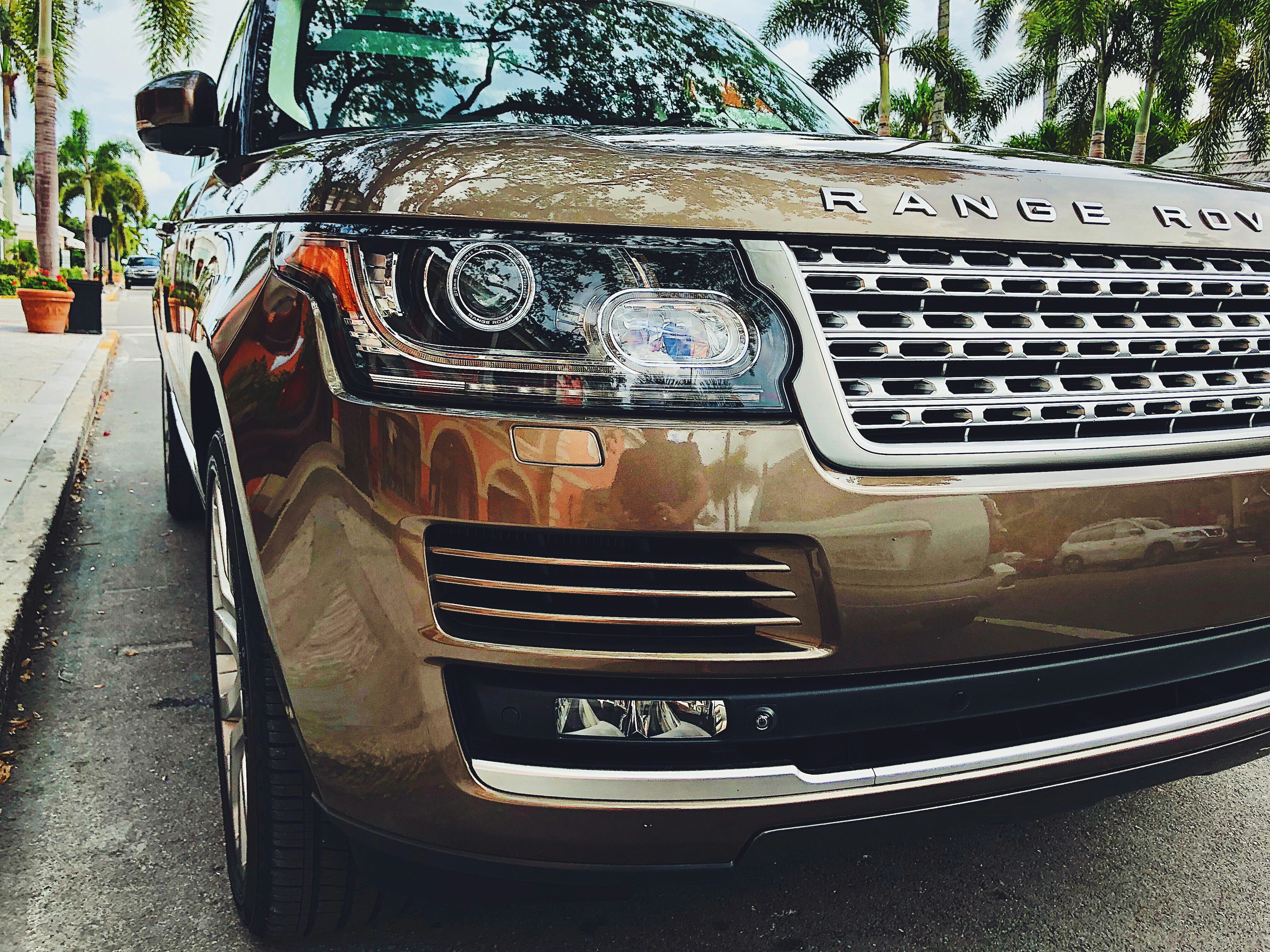 Land Rover Range Rover Sport - View image-1737685585594.jpg