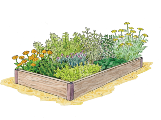 Hassle-Free Gardening: Tailored Vegetable Garden Solutions for You