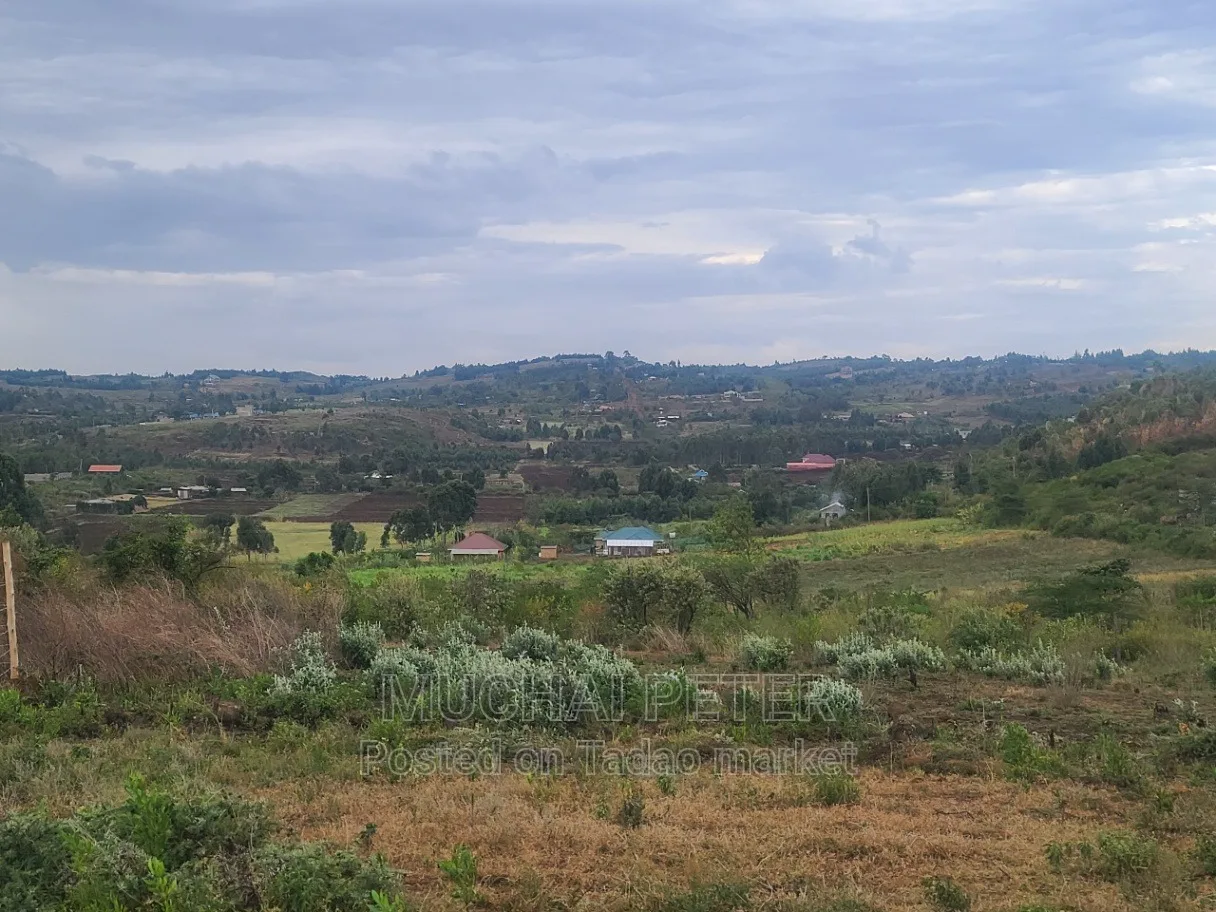 Kamangù, Ndigù-inì - Prime Plot 4