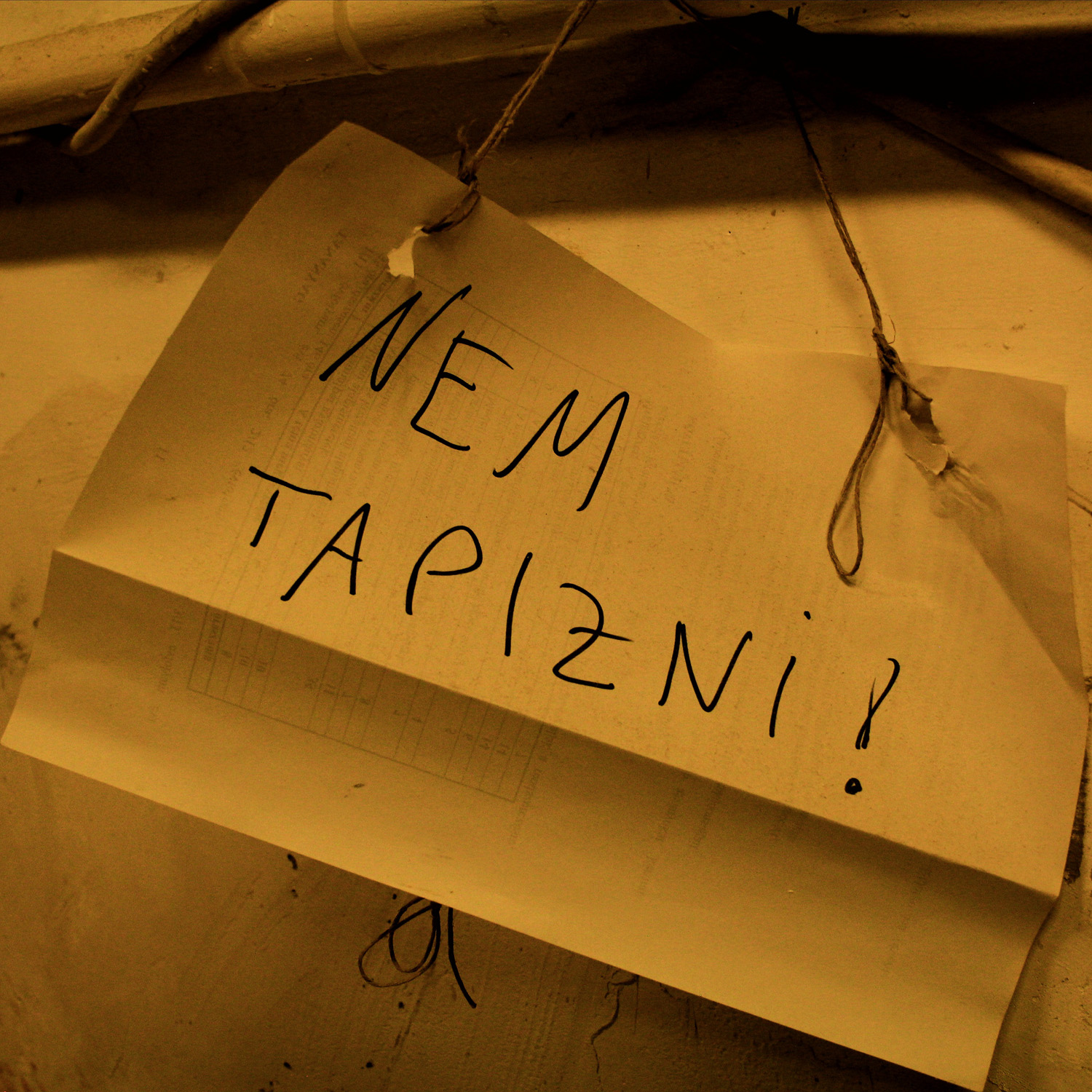 Notapi