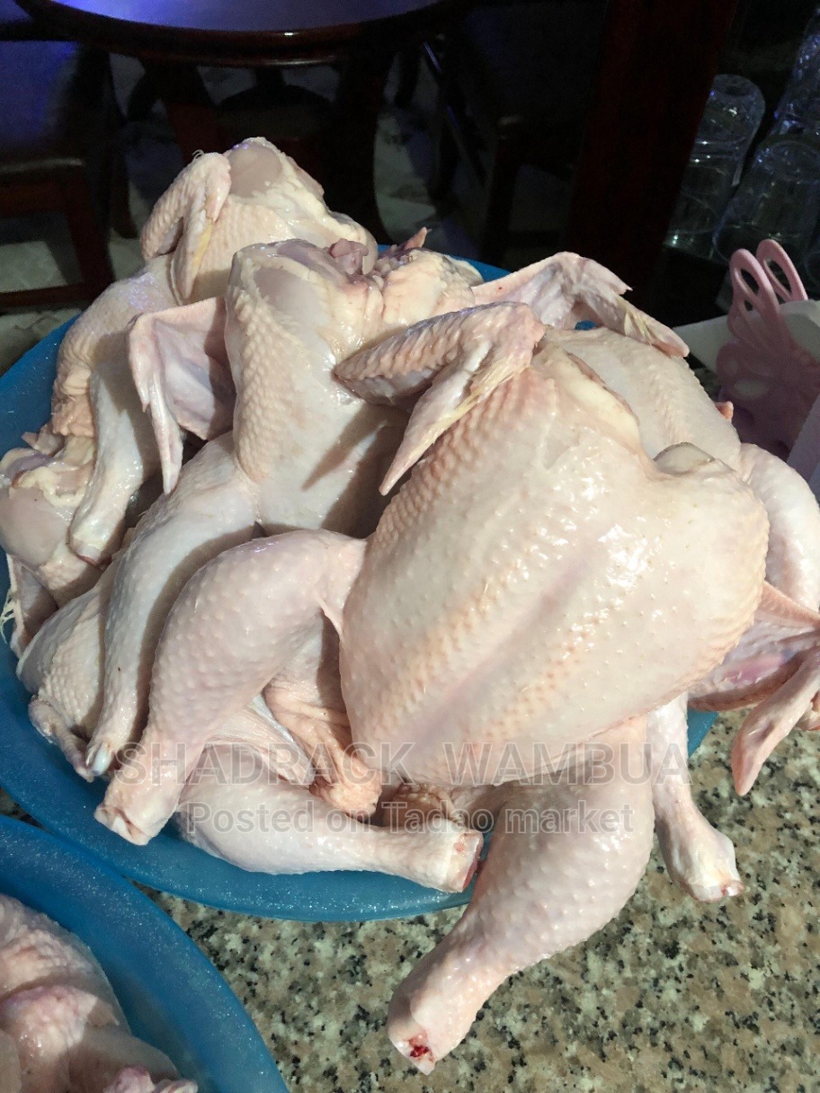 Grade one broiler chicken 3