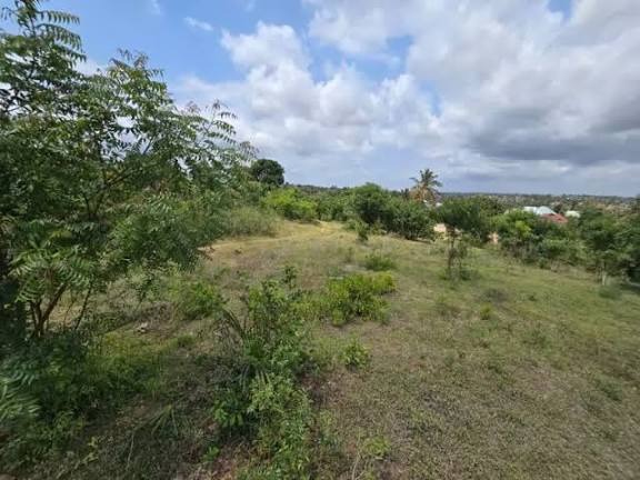 Plot for sale in Konza 3