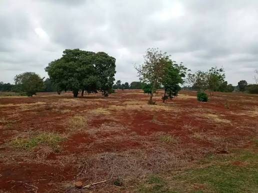 Land for sale 3