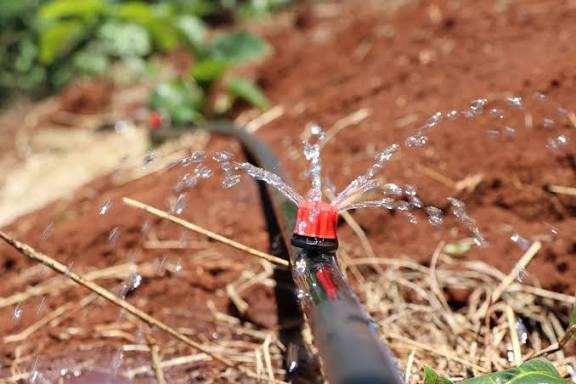 Smartflow button drippers 3