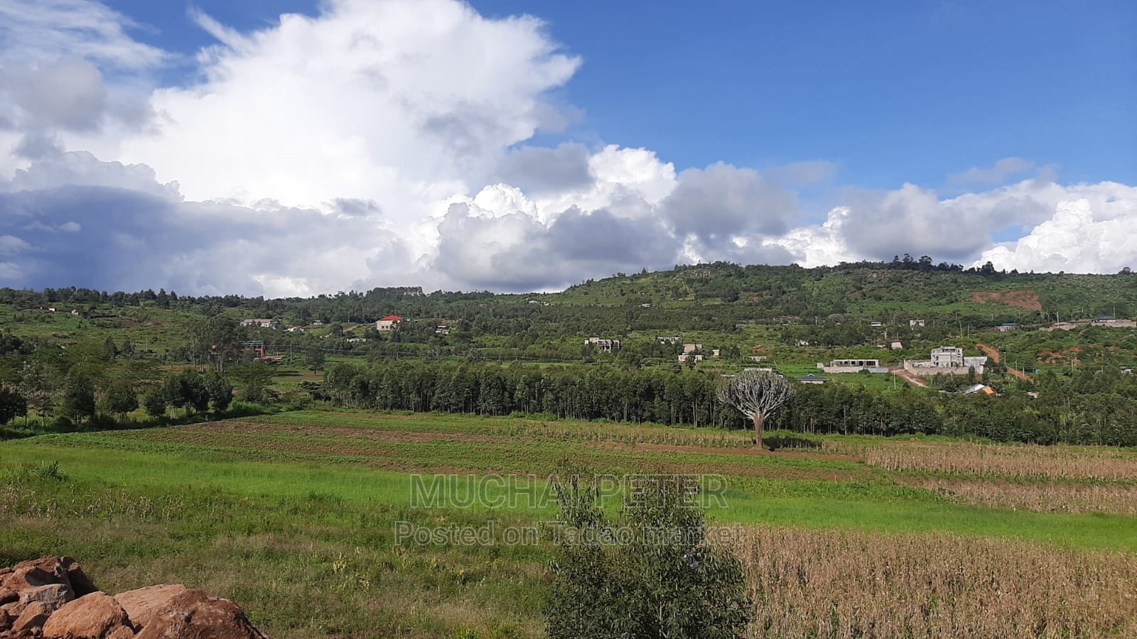 Quick Sale Plots - Ndigùinì, Kamangù 6