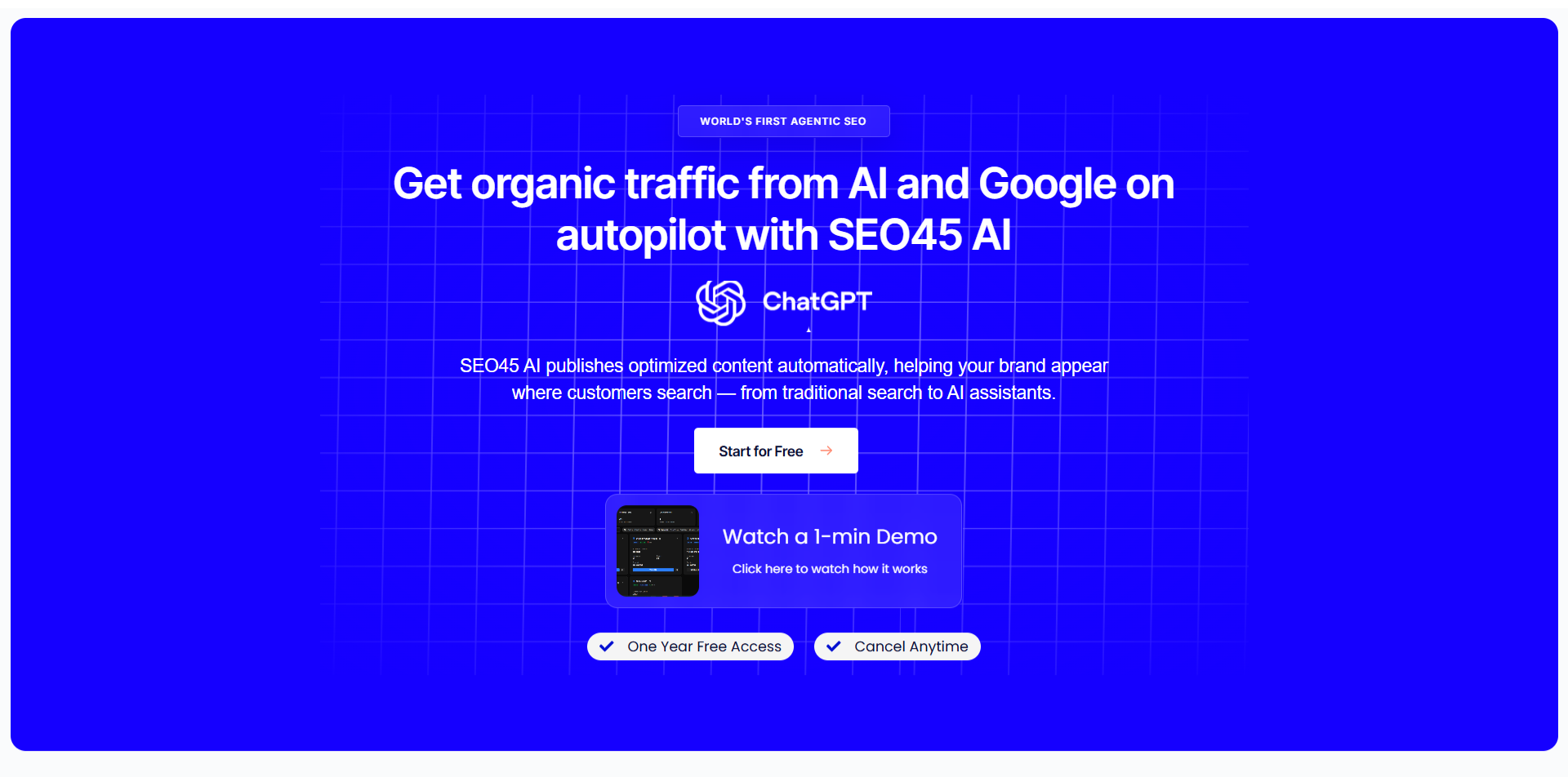 SEO45 AI Hero