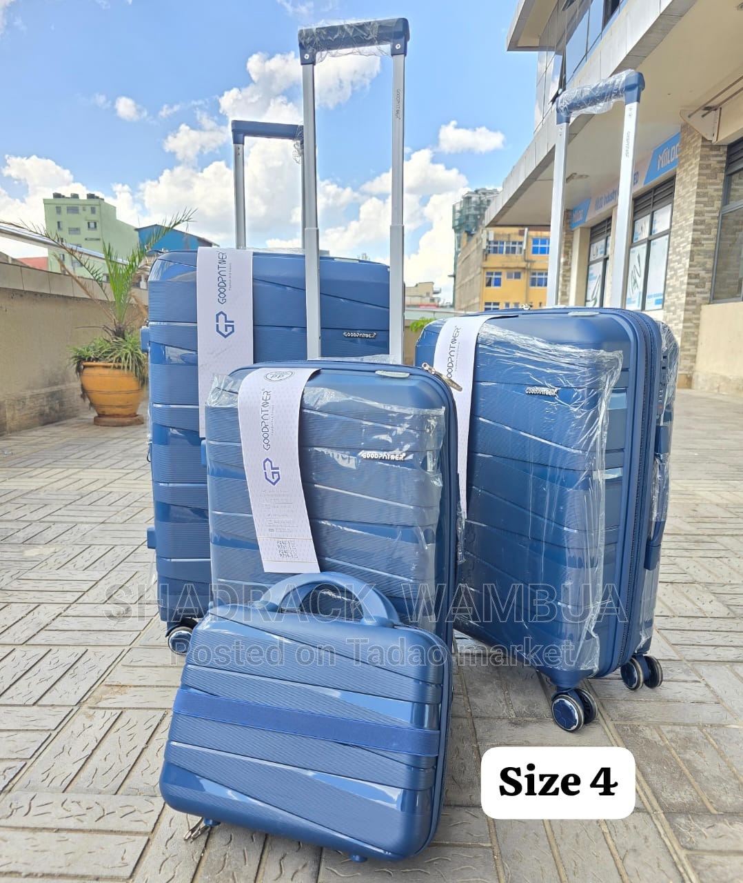 Luxurious travel Suitcase 2