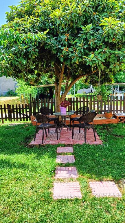 Vila - Katerina fotografija broj 10