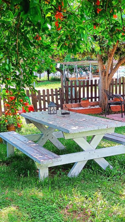 Vila - Katerina fotografija broj 23