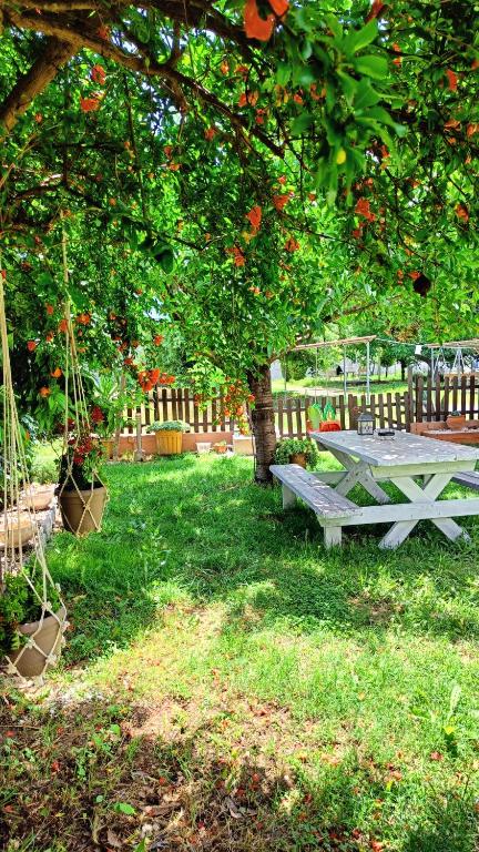 Vila - Katerina fotografija broj 8