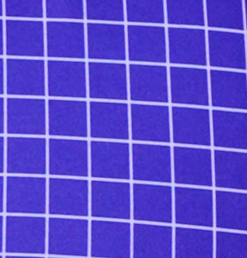 Royal Blue Collar Polo Shirt