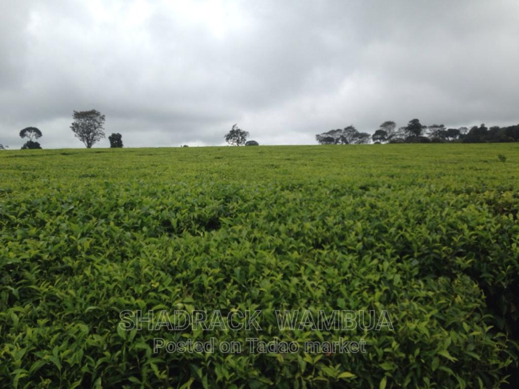 Land for sale (Team Farm) 3