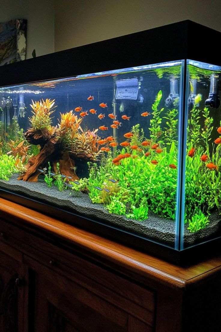 Aquarium Glass