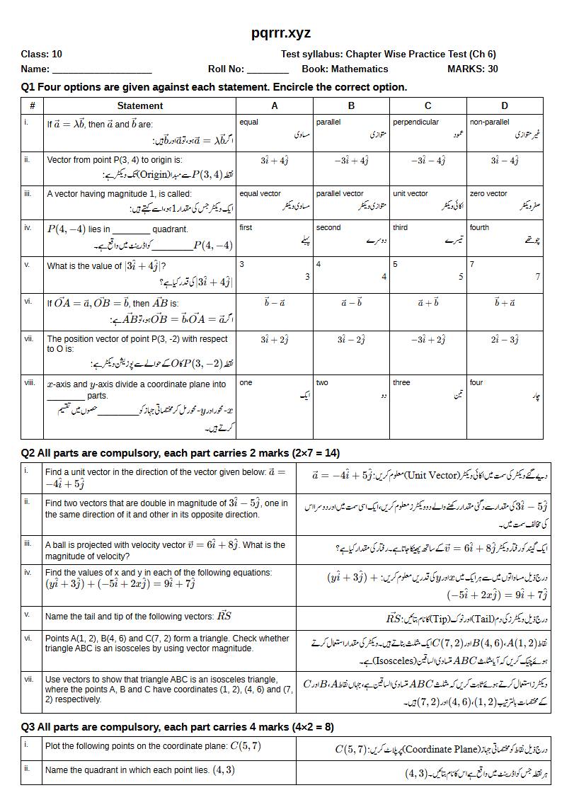 First page of 10th Mathematics – Chapter 6 – Vectors in Plane – Chapter Wise Practice Test, 30 marks (English + Urdu)