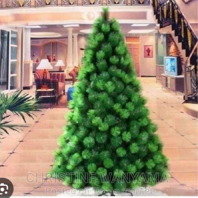 Christmas tree for sale 2