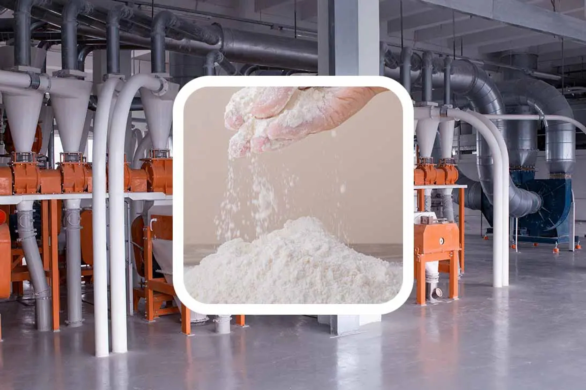 Maximize Efficiency: Top Grain Processing Machines for Your Business