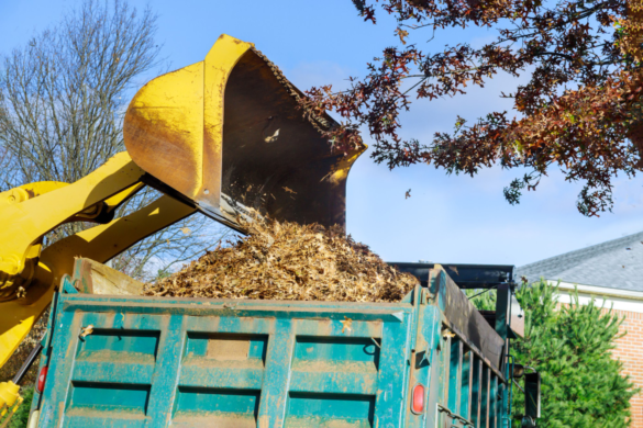  Effortless Waste Management: Reliable Skip Hire in Purley with Maguire Skips